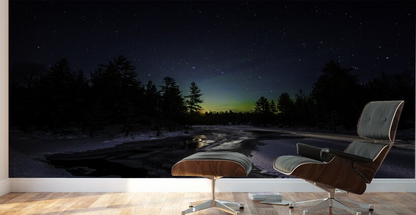 JBS 3445 Wall Murals