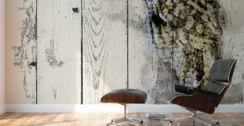 JBS 5420WC 2 Wall Murals