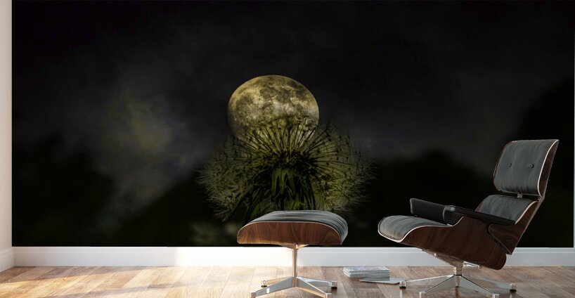 JBS 4984 1 Wall Murals