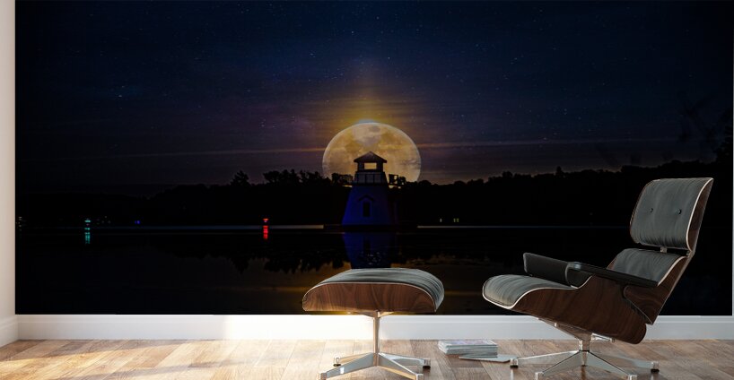 JBS 4239  Wall Murals