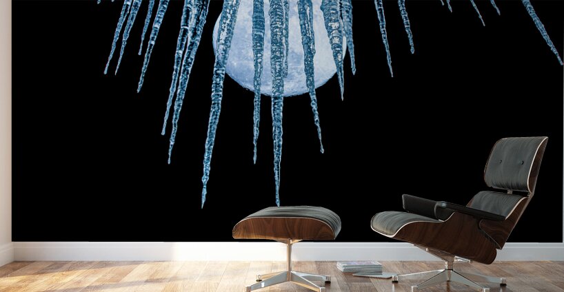 JBS 5262 Wall Murals