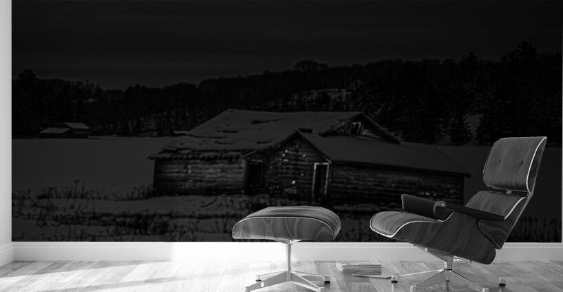 JBS 0143  Wall Murals