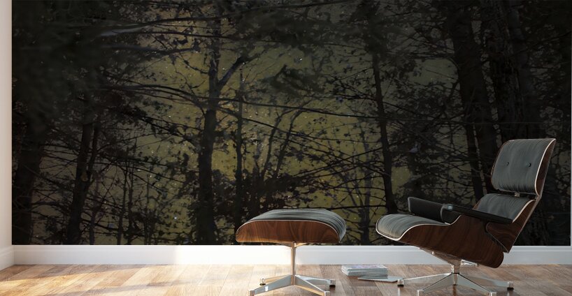 JBS 8747  Wall Murals