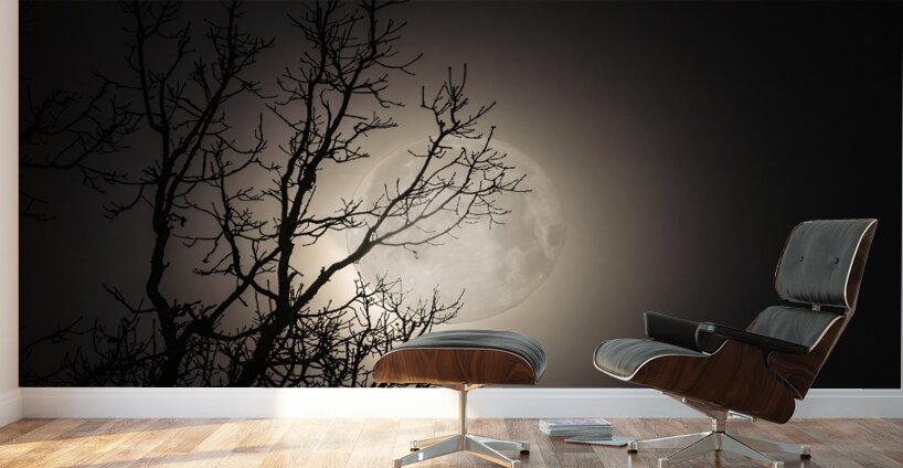 JBS 59702 Wall Murals