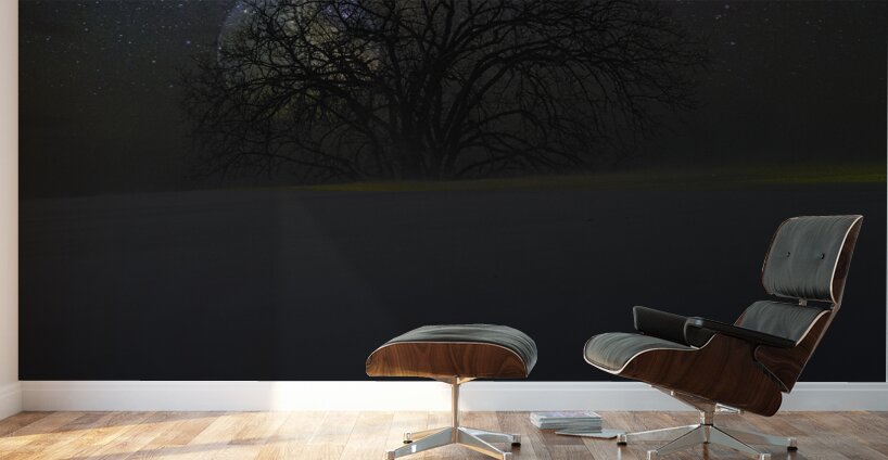 JBS 6098  Wall Murals