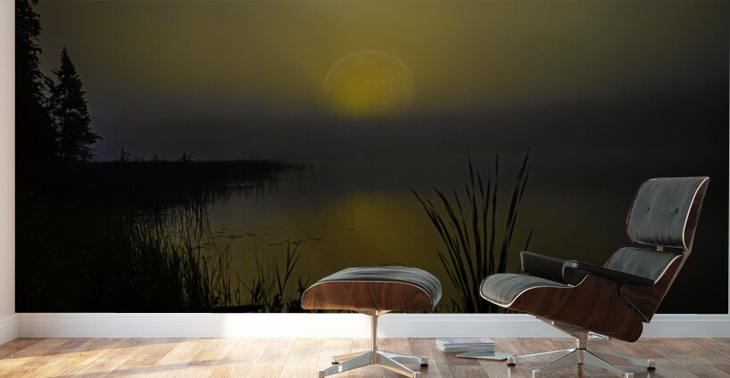 JBS 2558  Wall Murals