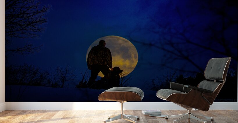 JBS 9674  Wall Murals