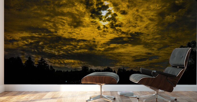 JBS 3475 Wall Murals