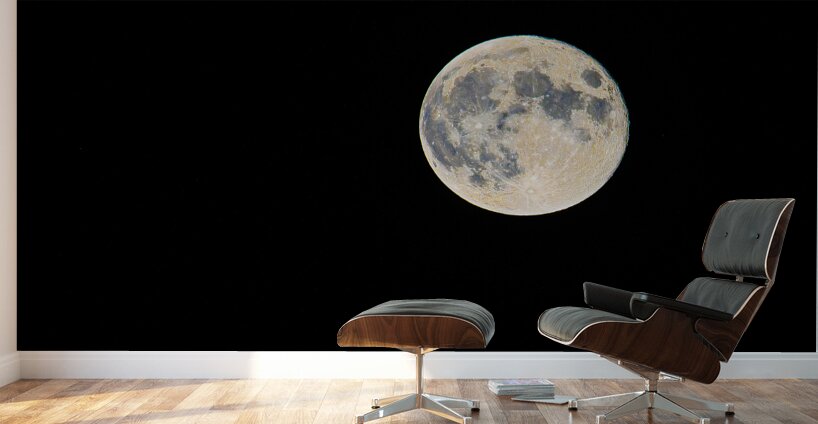 DSC 5705  Wall Murals