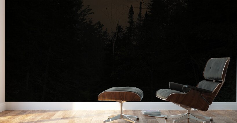 JBS 7068 sun Wall Murals