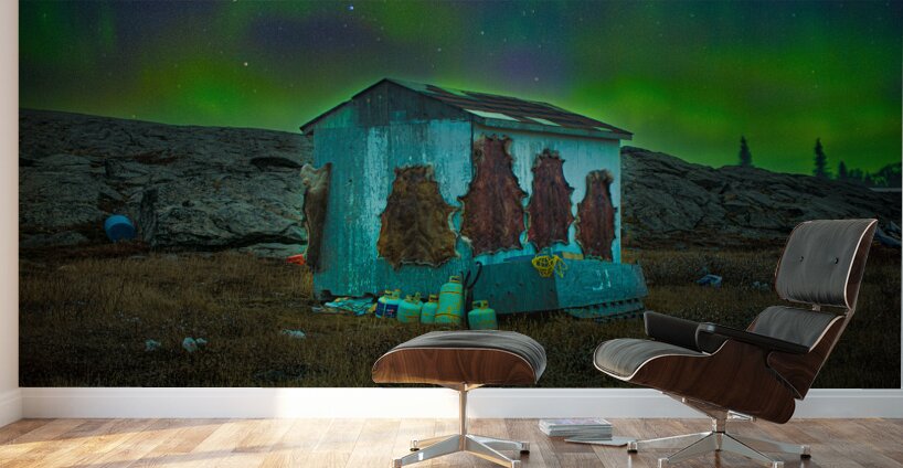 JBS 6142  Wall Murals