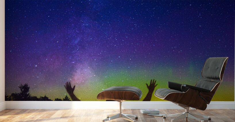 JBS 37402 Wall Murals