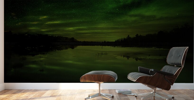 JBS 5561 Wall Murals