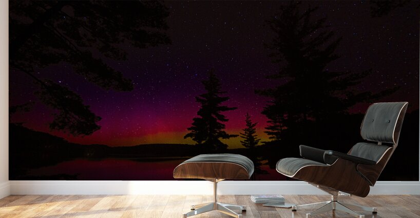 JBS 6258  Wall Murals