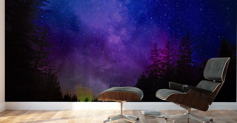 JBS 6008  Wall Murals