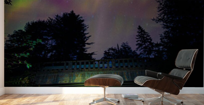 JBS 6232  Wall Murals