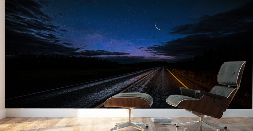 DSC 3446  Wall Murals