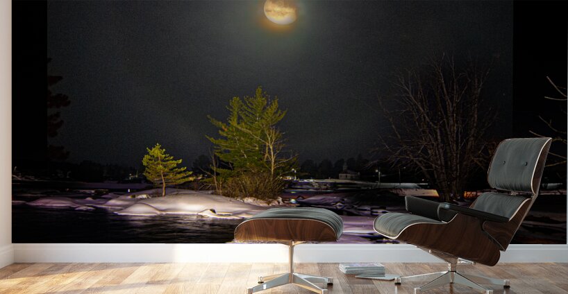 DSC 4341  Wall Murals