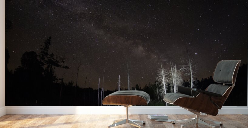 CRC 1492 Wall Murals