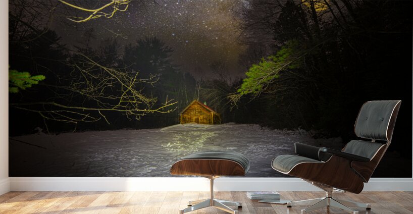 DSC 4039  Wall Murals