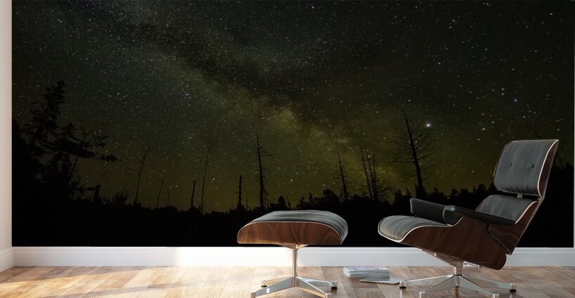 CRC 1490 Wall Murals