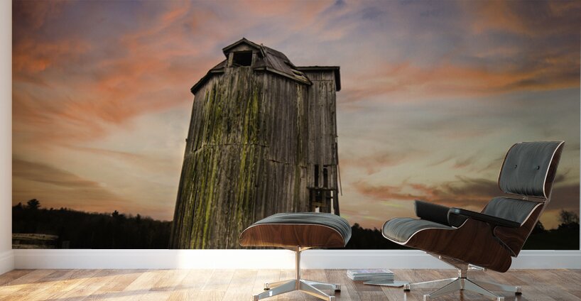 DSC 4632  Wall Murals