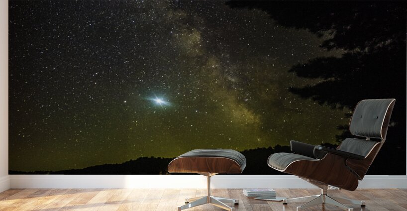 JBS 2486 Wall Murals