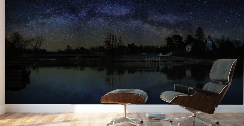 JBS 1151  Wall Murals