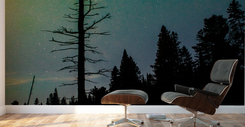 JBS 3718 Wall Murals