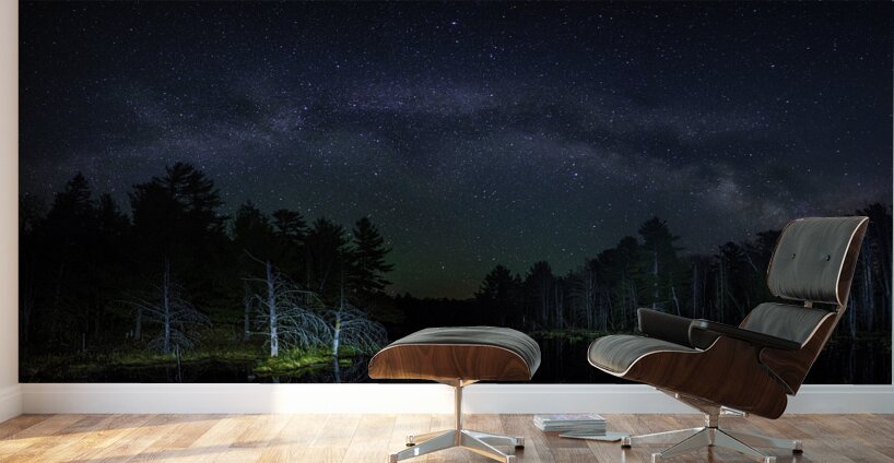 JBS 1292  Wall Murals