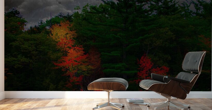 JBS 4749  Wall Murals