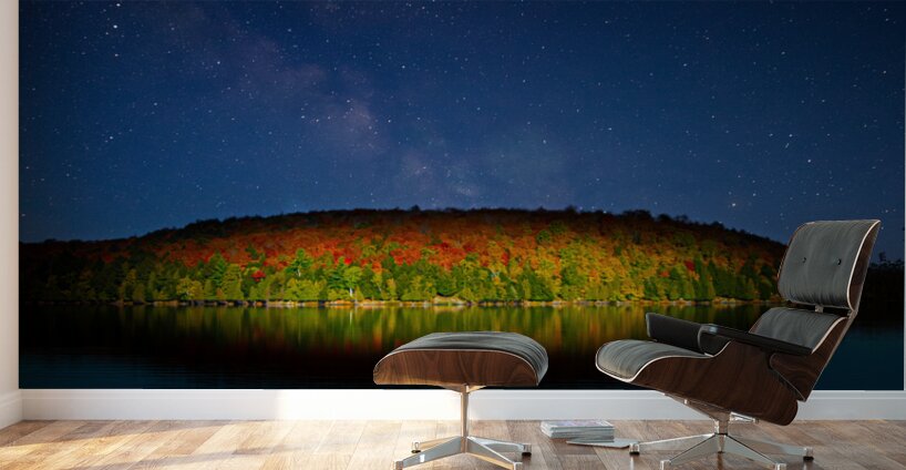 JBS 4823  Wall Murals