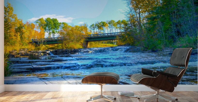 JBS 6991 Wall Murals