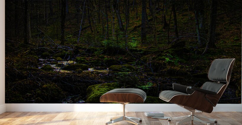 JBS 9682 Wall Murals