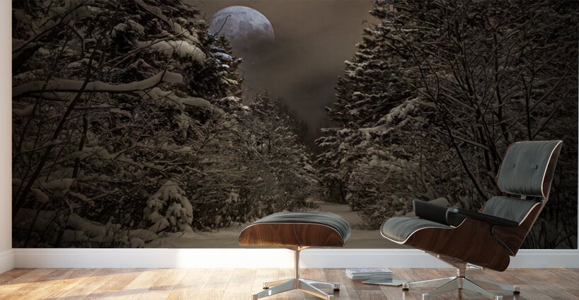 Z62 0235 Wall Murals