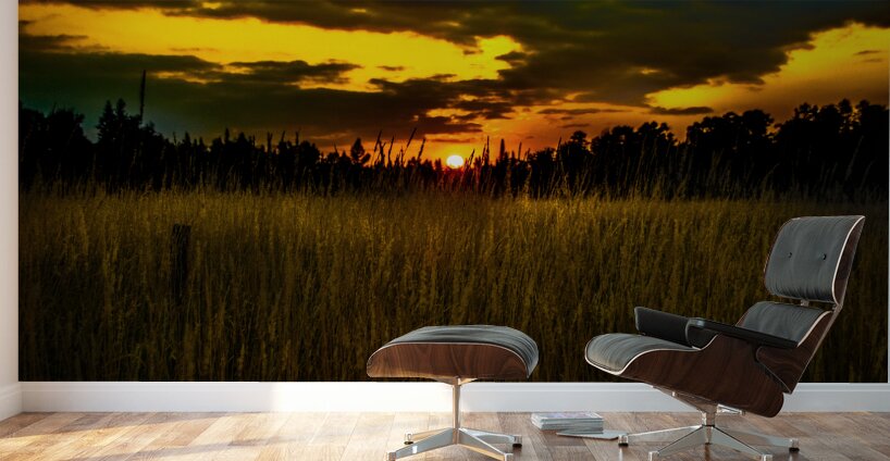 JBS 5786 Wall Murals