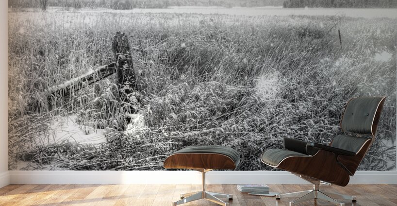 JBS 4080 Wall Murals