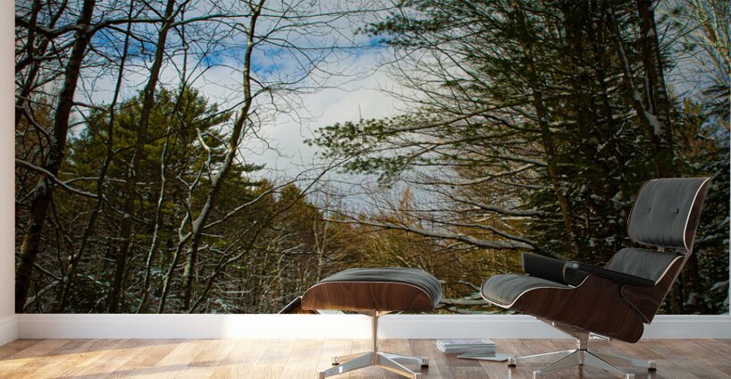 JBS 5227 Wall Murals