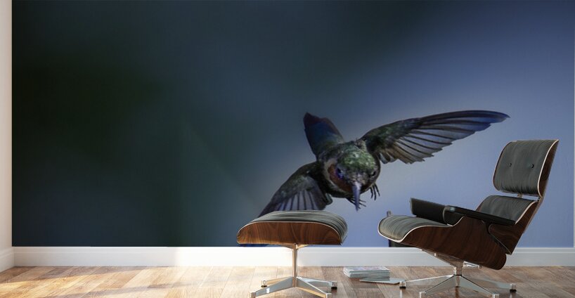 JBS 2832 Wall Murals