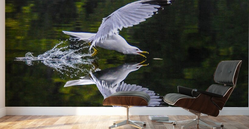  1seagull Wall Murals