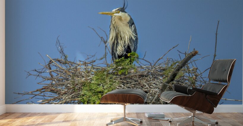 JBS 0860ED Wall Murals