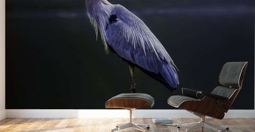 JBS 1706 2 Wall Murals