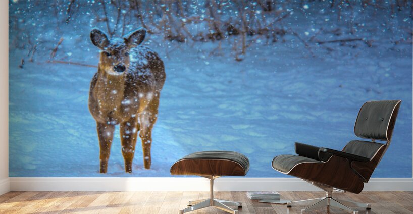 JBS 0395 Wall Murals