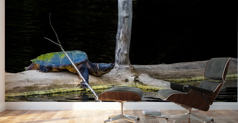 JBS 1007 Wall Murals