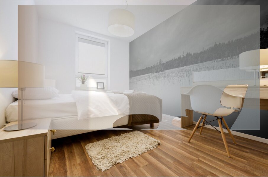 ZJS 9284 2  Wall Murals