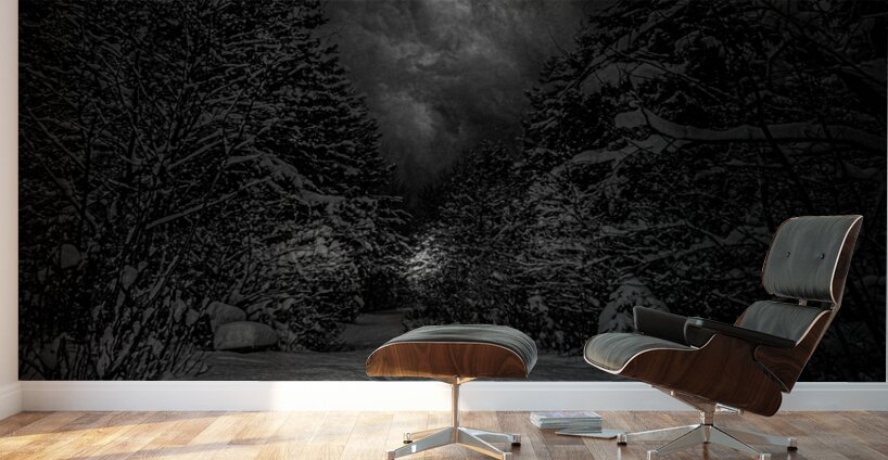 Z62 0237  Wall Murals