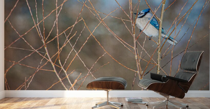 JBS 8279 Wall Murals