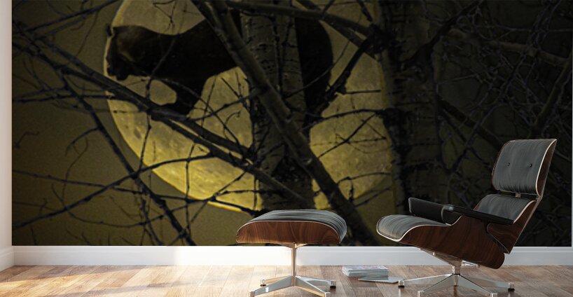 JBS 5294 2 Wall Murals