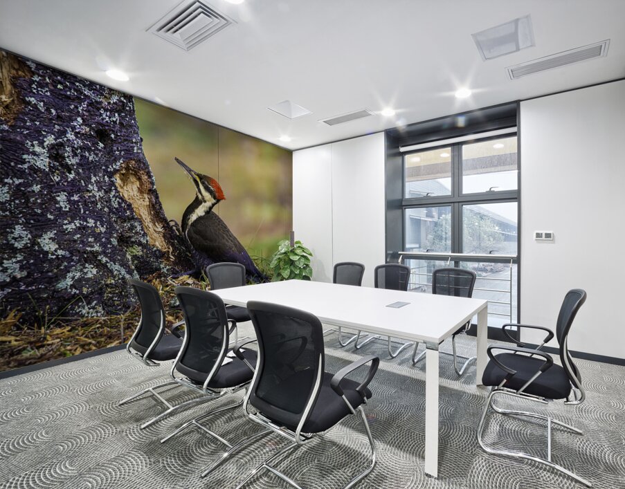 JBS 9742 1 Wall Printing