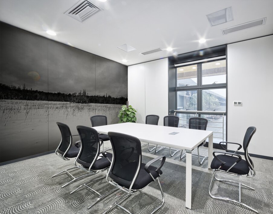 ZJS 9284 2  Wall Printing